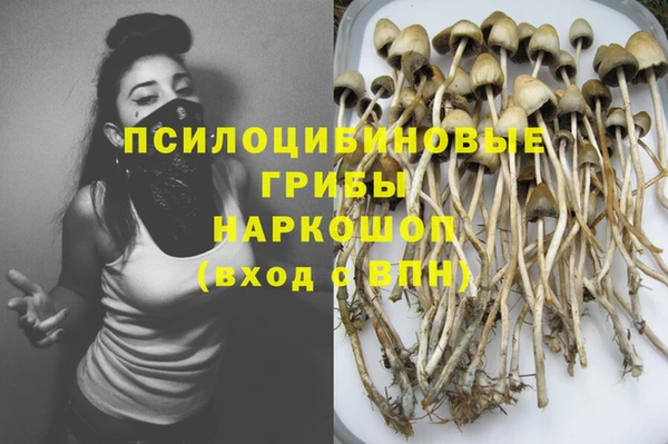 a pvp Алексеевка