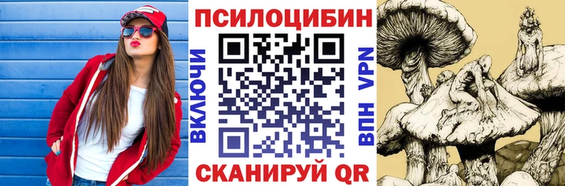 как найти закладки  Чухлома  Псилоцибиновые грибы GOLDEN TEACHER 